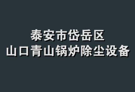 泰安市岱岳区山口青山锅炉除尘设备厂