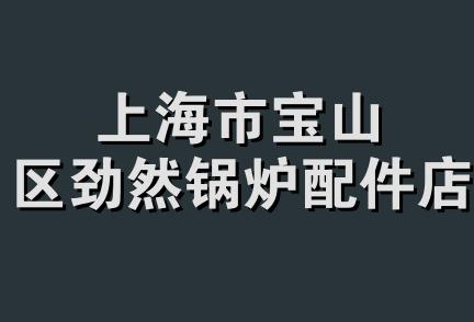 上海市宝山区劲然锅炉配件店