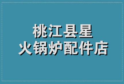 桃江县星火锅炉配件店