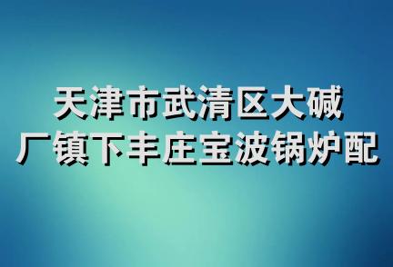 天津市武清区大碱厂镇下丰庄宝波锅炉配件厂