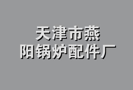 天津市燕阳锅炉配件厂