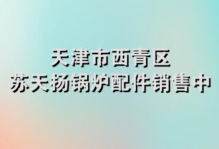 天津市西青区苏天扬锅炉配件销售中心