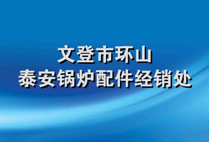 文登市环山泰安锅炉配件经销处