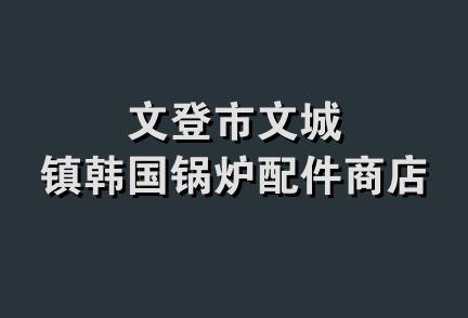 文登市文城镇韩国锅炉配件商店