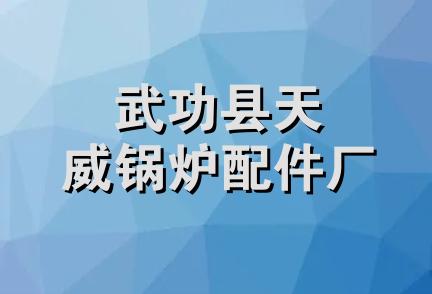 武功县天威锅炉配件厂