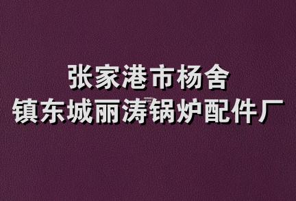 张家港市杨舍镇东城丽涛锅炉配件厂