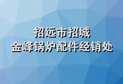 招远市招城金峰锅炉配件经销处