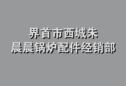 界首市西城朱晨晨锅炉配件经销部