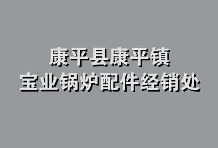 康平县康平镇宝业锅炉配件经销处