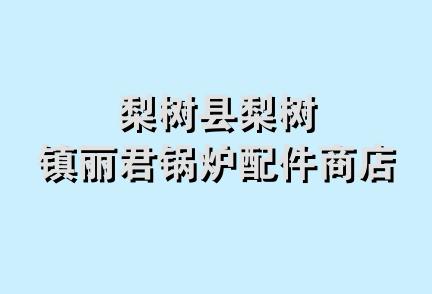 梨树县梨树镇丽君锅炉配件商店