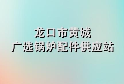 龙口市黄城广选锅炉配件供应站