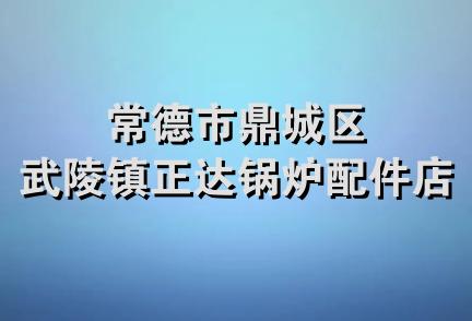 常德市鼎城区武陵镇正达锅炉配件店