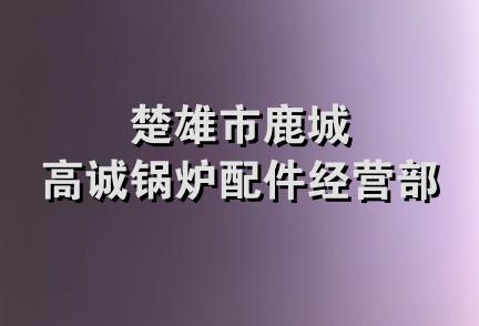 楚雄市鹿城高诚锅炉配件经营部