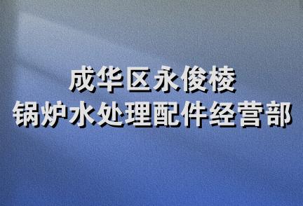 成华区永俊棱锅炉水处理配件经营部