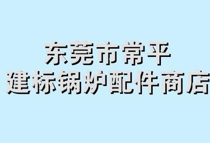 东莞市常平建标锅炉配件商店