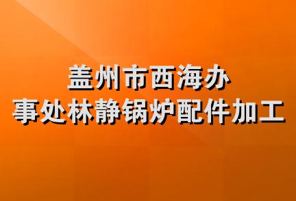 盖州市西海办事处林静锅炉配件加工厂