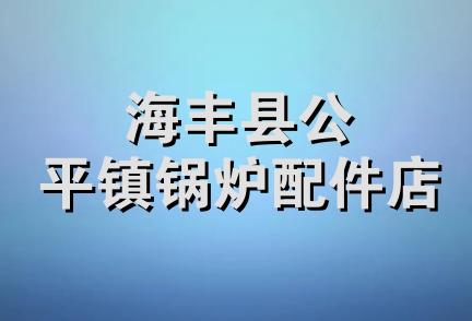 海丰县公平镇锅炉配件店