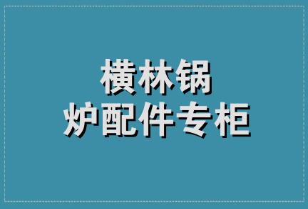 横林锅炉配件专柜