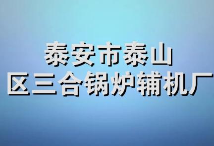 泰安市泰山区三合锅炉辅机厂