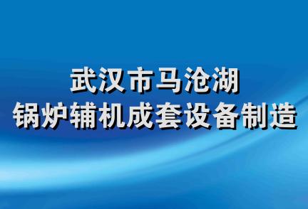 武汉市马沧湖锅炉辅机成套设备制造厂