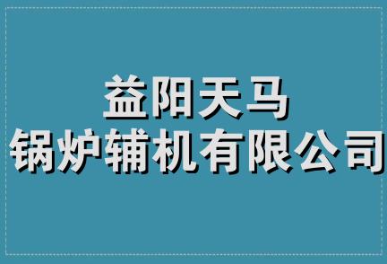 益阳天马锅炉辅机有限公司