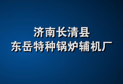 济南长清县东岳特种锅炉辅机厂