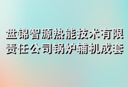 盘锦智源热能技术有限责任公司锅炉辅机成套设备分公司