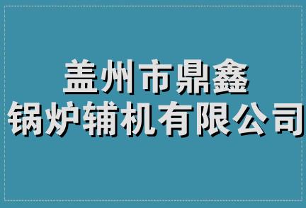 盖州市鼎鑫锅炉辅机有限公司