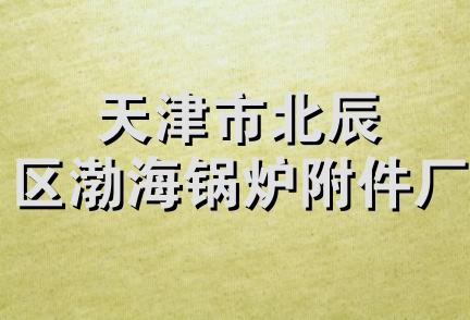 天津市北辰区渤海锅炉附件厂