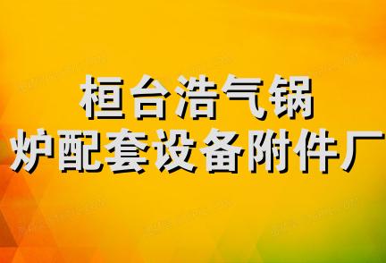 桓台浩气锅炉配套设备附件厂