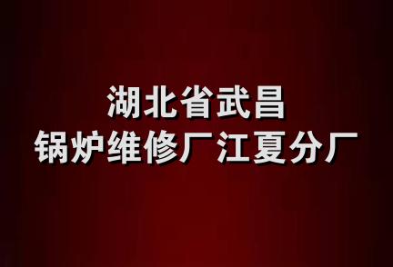 湖北省武昌锅炉维修厂江夏分厂