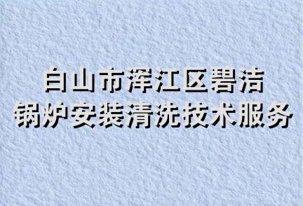 白山市浑江区碧洁锅炉安装清洗技术服务中心