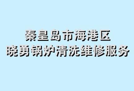 秦皇岛市海港区晓勇锅炉清洗维修服务部