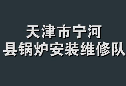 天津市宁河县锅炉安装维修队