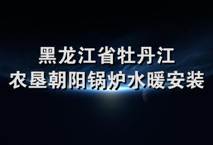 黑龙江省牡丹江农垦朝阳锅炉水暖安装队