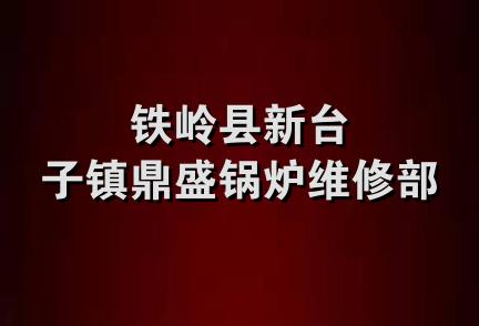 铁岭县新台子镇鼎盛锅炉维修部