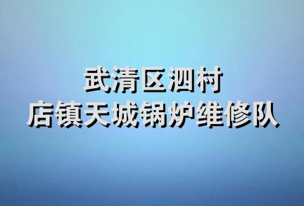 武清区泗村店镇天城锅炉维修队