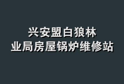 兴安盟白狼林业局房屋锅炉维修站