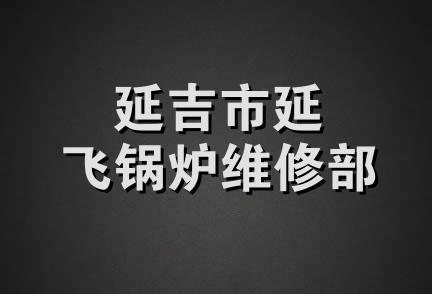 延吉市延飞锅炉维修部