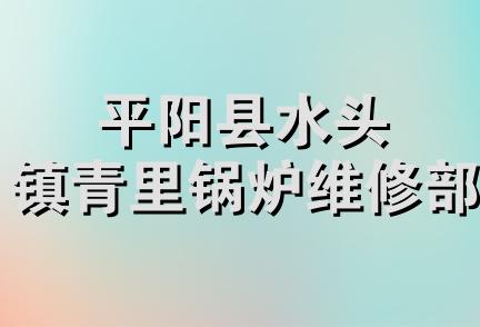 平阳县水头镇青里锅炉维修部