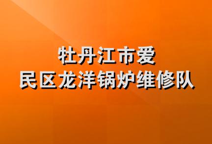 牡丹江市爱民区龙洋锅炉维修队