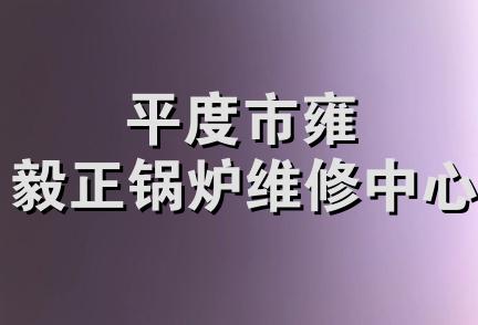 平度市雍毅正锅炉维修中心