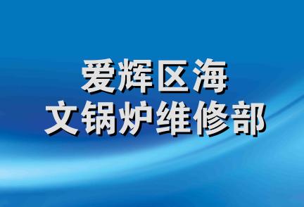 爱辉区海文锅炉维修部