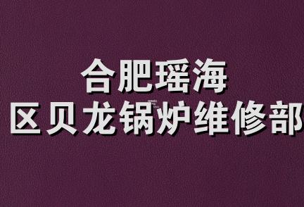 合肥瑶海区贝龙锅炉维修部