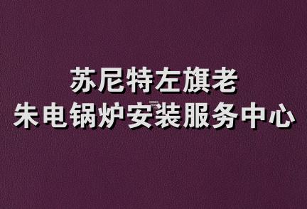 苏尼特左旗老朱电锅炉安装服务中心