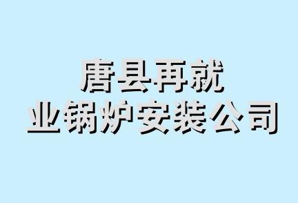 唐县再就业锅炉安装公司