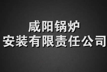 咸阳锅炉安装有限责任公司