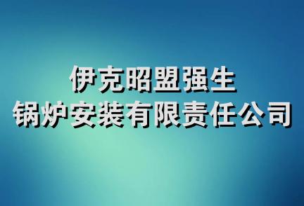 伊克昭盟强生锅炉安装有限责任公司