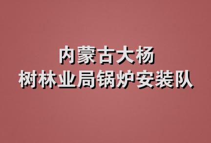 内蒙古大杨树林业局锅炉安装队