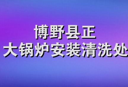 博野县正大锅炉安装清洗处